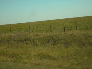 untitled_12_389.jpg